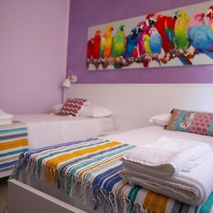 B&B Trepo